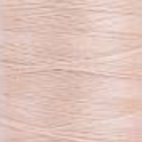 Pale Peach